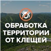В Красноярске территорию Фанпарка обработают от клещей