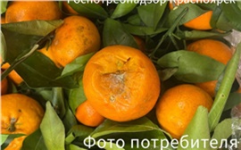 Красноярский дискаунтер уличили в торговле гнилой картошкой и тухлыми мандаринами