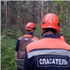 Пропавшего в лесу неделю назад жителя Красноярского края нашли мертвым 