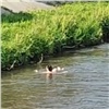 В центре Красноярска голая женщина искупалась в реке Каче (видео)