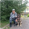 «Четвероногий полицейский»: в Красноярске собака по кличке Венза помогла правоохранителям найти вора