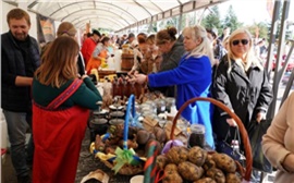 «Цены на продукты будут ниже магазинных»: в Красноярске впервые пройдет Всероссийская ярмарка