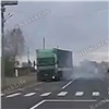 В Нижнеингашском районе дети перебегали дорогу и попали под фуру (видео)