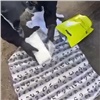 Полицейские перекрыли канал поставки в Красноярский край метадона из Московской области (видео)