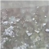 Крупный град внезапно обрушился на Красноярск (видео)
