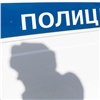 Двух красноярских гаишников уличили в получении взяток за незаконную регистрацию машин (видео)