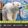 Красноярцам показали лимитированные проездные с питомцами из «Роева ручья»