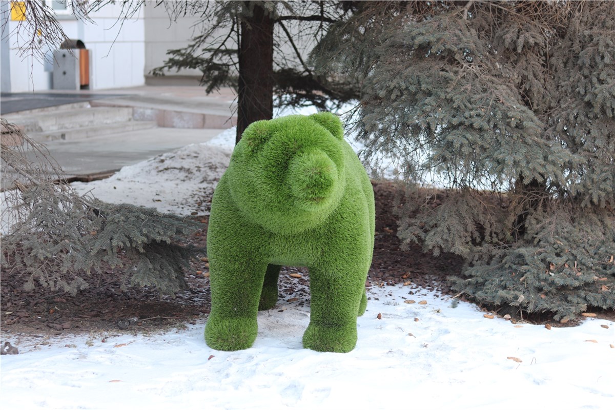 Зеленый медведь