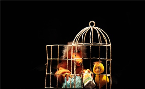 Золотой цыплёнок