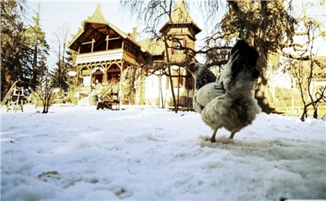 Зимняя сказка, или Королева, потерявшая имя