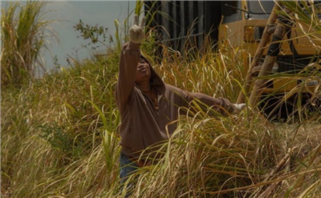 Сахарная фабрика