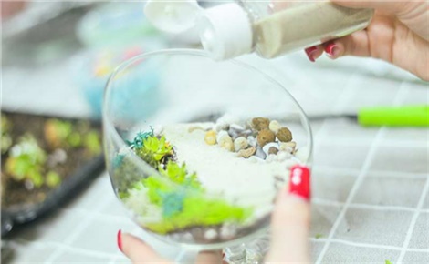 Мастерская миниатюр. Флорариумы