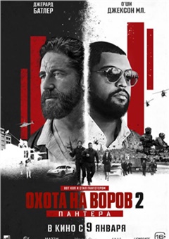 Охота на воров 2: пантера