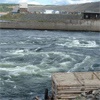 Из-за заполнения Богучанской ГЭС придется изменить маршрут зимника в Эвенкии 
