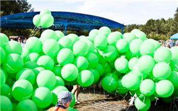 «Зелёный» в Красноярске: гид по фестивалю
