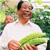 Китайцы под видом туристов выращивали овощи в теплицах под Красноярском