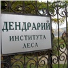 Жители красноярского Академгородка жалуются на возможную застройку дендрария