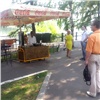 Большинство кафе на красноярской набережной оказались незаконными (видео)