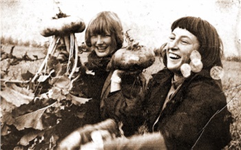 «В руки лопаты!»: как красноярцы в СССР картошку копали