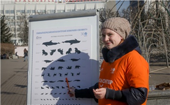 Фоторепортаж: Проверь зрение — спаси дельфина!