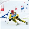 В «Бобровом логе» пройдут любительские соревнования среди горнолыжников и сноубордистов