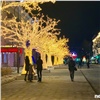 В центр Красноярска возвращают полюбившиеся горожанам светящиеся деревья