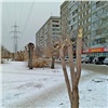 Самое интересное в Красноярске за 7 февраля: варвары против деревьев, бюджет на дороги и уход прокурора