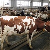 Производители молока в Красноярском крае получат более 80 млн рублей господдержки 