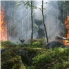В Красноярском крае в два раза снизилось количество лесных пожаров