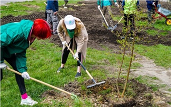 «Посадить дерево — лишь первый шаг»: по Красноярску прошла «Зеленая волна»