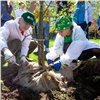 Зелёная дружина СГК высадила несколько сотен деревьев и кустарников в красноярских школах