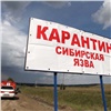 Тувинское село закрыли на карантин из-за сибирской язвы
