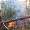 В Красноярском крае зарегистрировали 10 лесных пожаров площадью в шесть тысяч футбольных полей