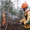 Правительство: В Красноярском крае площадь лесных пожаров уменьшилась в 10 раз 