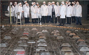 «Перспективы на десятилетия вперед»: в Железногорске обсудили развитие производств по обращению с отработавшим ядерным топливом