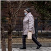 «Взрослые болеют чаще»: недельный эпидпорог по ОРВИ в Красноярском крае превышен почти на 54 %