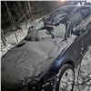 Под Ачинском водитель сбил лося: животное погибло, пострадал один человек
