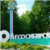 С 18 февраля Лесосибирск на целый год станет площадкой для проведения культурных событий российского и международного уровней