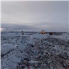 «Ситуация не терпит промедления»: в Норильске горит полигон коммунальных отходов 