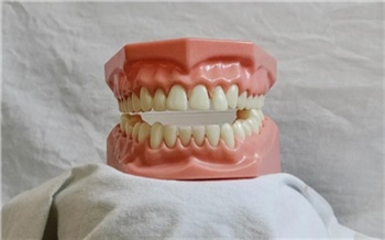 «Цена уже не по зубам»: во сколько теперь обойдется поход к стоматологу в Красноярске