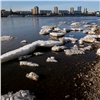 «Реки ведут себя спокойно»: в МЧС рассказали о гидрологической обстановке в Красноярском крае 