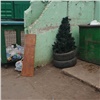 Земля, дрова и новогодние ёлки: в КРК рассказали, что красноярцы выбросили в мусор за весну