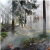 «Пик весенней горимости пройден»: дождь и огнеборцы потушили масштабные лесные пожары в Красноярском крае