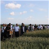«Будем всячески поддерживать»: аграрии Красноярского края обсудили перспективы развития семеноводства