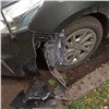 Стая собак погрызла несколько машин на правобережье Красноярска (видео)