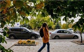 Предсказуемый сентябрь: прогноз погоды на месяц в Красноярске