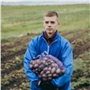 Трудовой отряд главы Красноярска собрал 11 тонн картофеля