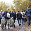 «Пришли по велению сердца»: волонтёры «Дня реки» собрали на берегу Енисея 5 тонн мусора 