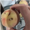 На популярном красноярском рынке нашли 1,6 тонн «больных» персиков и уничтожили их 