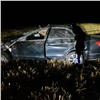 На трассе «Енисей» Mercedes врезался в табун лошадей: водитель в коме, животные погибли 